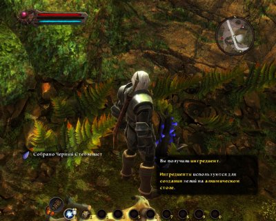 Kingdoms of Amalur: Reckoning