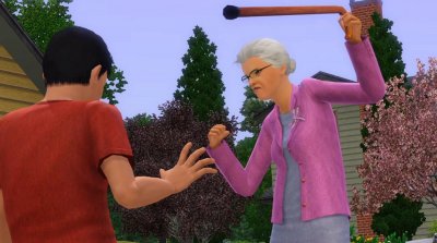 The Sims 3: Generations ( )