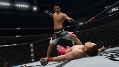 UFC Undisputed 3