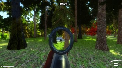 Rake Multiplayer