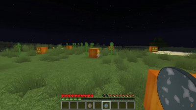 Minecraft 1.1