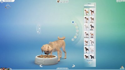 The Sims 4 Cats & Dogs