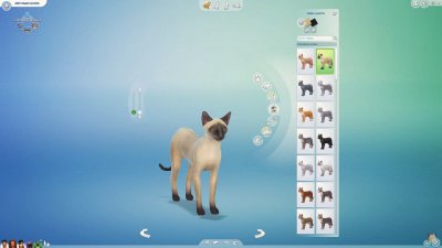 The Sims 4 Cats & Dogs