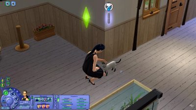 Sims 2 