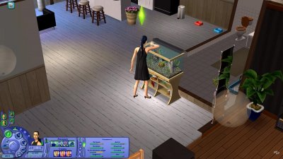 Sims 2 