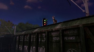 Max and Maya Cat simulator