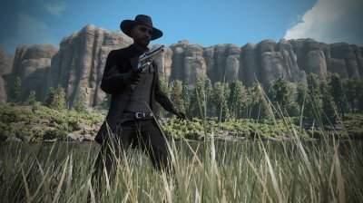 Wild West Online