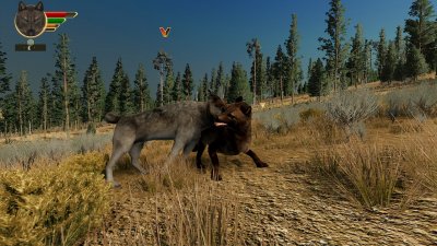 WolfQuest 3 Anniversary Edition