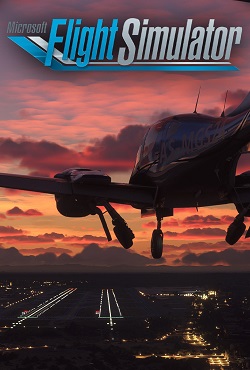 Microsoft Flight Simulator