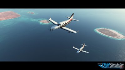 Microsoft Flight Simulator