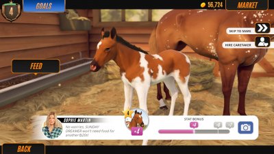 Rival Stars Horse Racing Desktop Edition