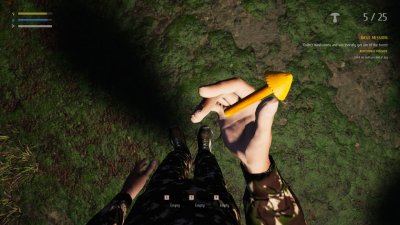 Mushroom Picker Simulator