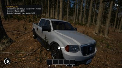 Evergreen Mountain Life Simulator