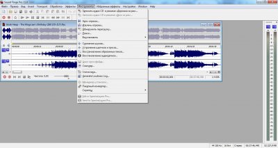 Sound Forge Pro 11.0